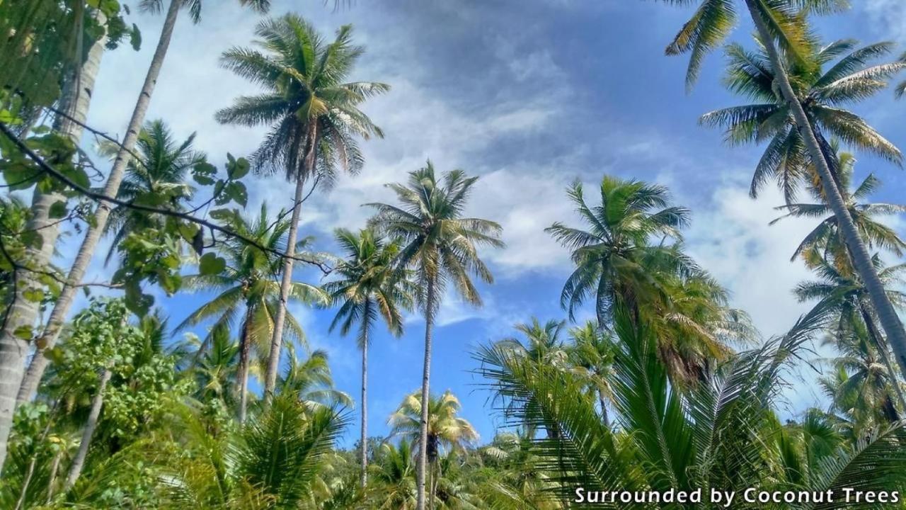Mansuar Raja Ampat Bungalows Kri Esterno foto